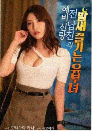 日本动画电影夏末的萤火虫列车海报